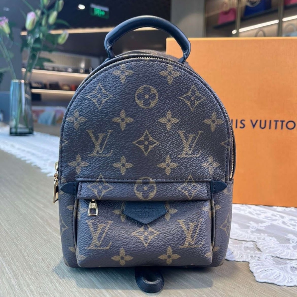 LV mini backpack Louis Vuitton bag